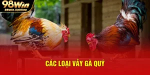các loại vảy gà quý