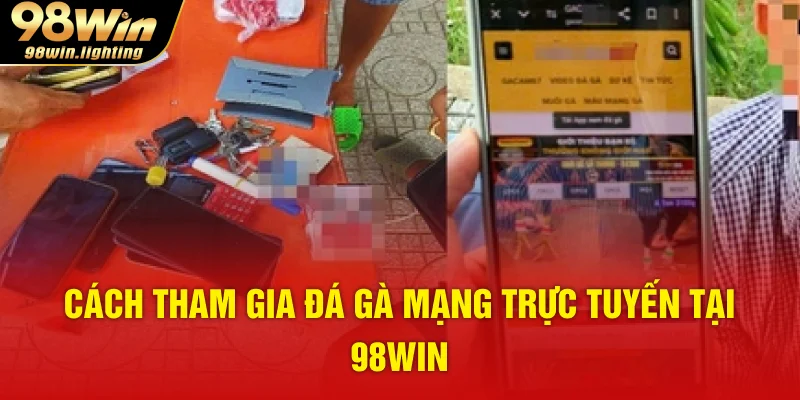 Cách tham gia đá gà mạng trực tuyến tại 98WIN