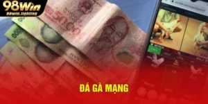 đá gà mạng