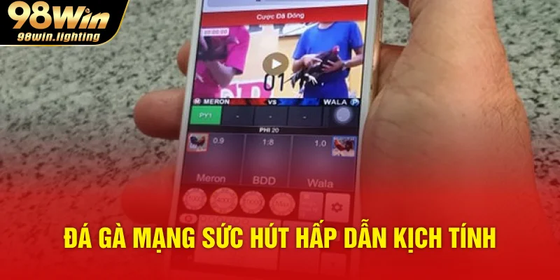 Đá gà mạng sức hút hấp dẫn kịch tính