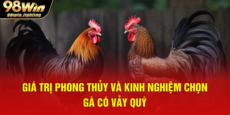 Giá trị phong thủy và kinh nghiệm chọn gà có vảy quý