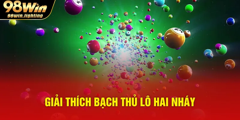Giải thích bạch thủ lô hai nháy