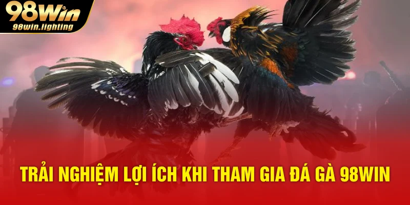 Trải nghiệm lợi ích khi tham gia đá gà 98WIN