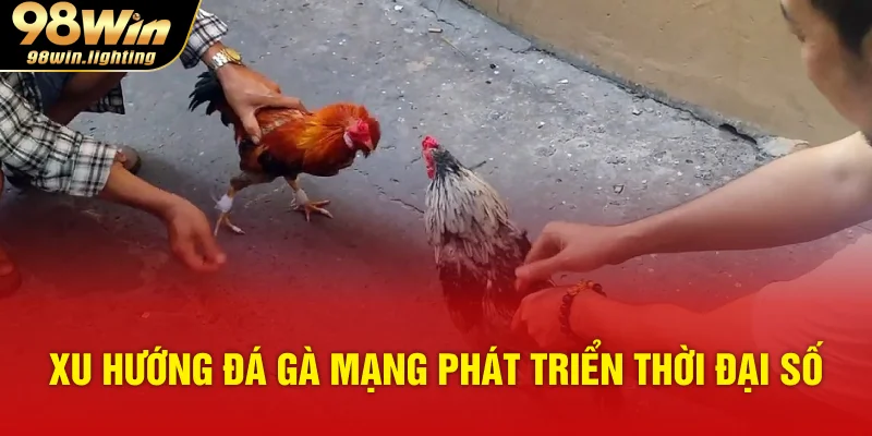 Xu hướng đá gà mạng phát triển thời đại số