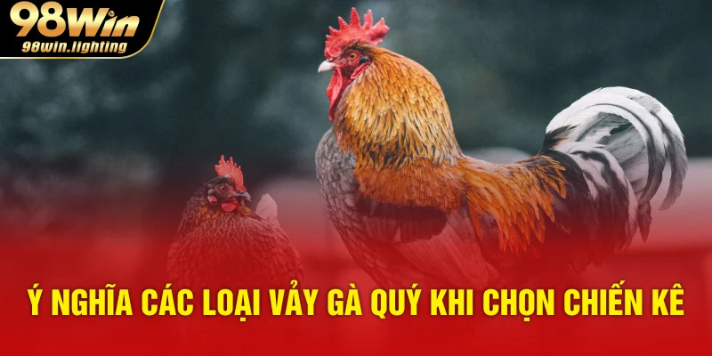 Ý nghĩa các loại vảy gà quý khi chọn chiến kê